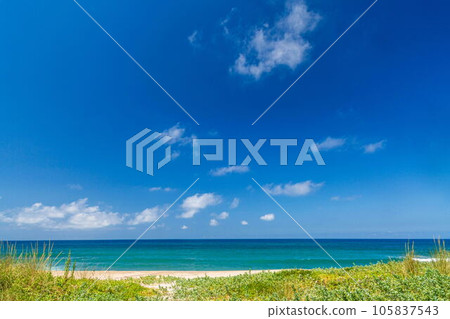 Seasight 105837543