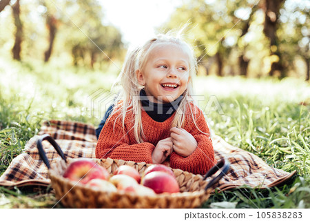 Child picking apples on farm in autumn. Little girl playing in tree orchard. Healthy nutrition. Cute little girl eating red delicious fruit. Harvest Concept. Apple picking. 105838283