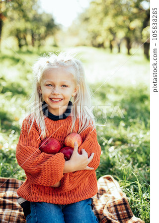 Child picking apples on farm in autumn. Little girl playing in tree orchard. Healthy nutrition. Cute little girl eating red delicious fruit. Harvest Concept. Apple picking. 105838285