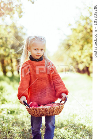 Child picking apples on farm in autumn. Little girl playing in tree orchard. Healthy nutrition. Cute little girl eating red delicious fruit. Harvest Concept. Apple picking. 105838286