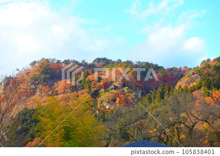 Tateishi Temple Yamadera Autumn Leaves Yellow Leaves Tateishi Temple Yamadera Autumn Leaves Yellow Leaves 105838401