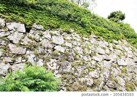 Mihara Castle 105838583