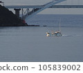 Ship to sea 105839002