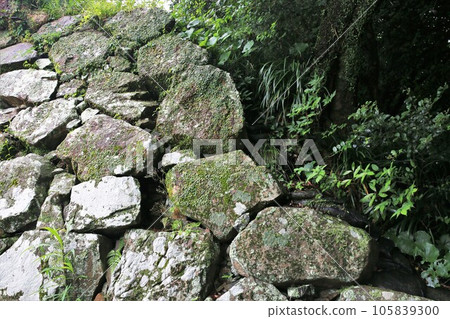 Nobeoka Castle Nobeoka Castle 105839300