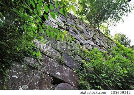 Nobeoka Castle Nobeoka Castle 105839312