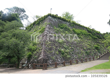 延岡城 延岡城 105839326