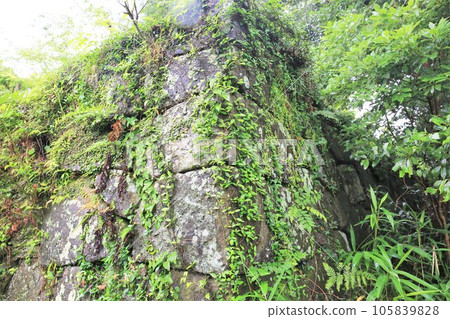 延岡城 延岡城 105839828