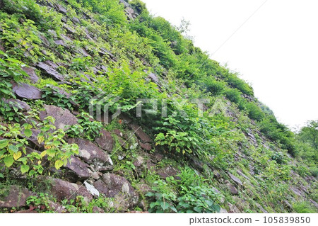 延岡城 延岡城 105839850