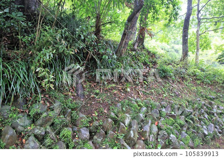 Nobeoka Castle 105839913