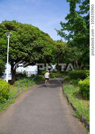 [橫濱] 山下公園的人行道 105839960