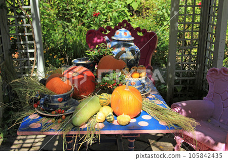 Autumn Harvest Tateshina｜The garden table is full of autumn harvest 105842435