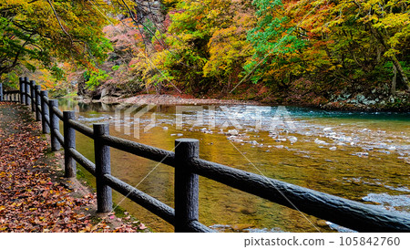 Yuze Valley (Autumn) 105842760