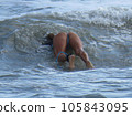 Part of body 105843095