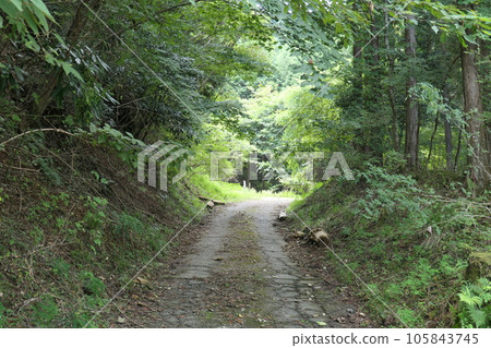 Taruhata登山口 105843745
