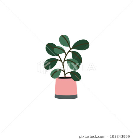 Potted plant. Houseplants in flower pot. Vector bundle of trendy plants 105843999