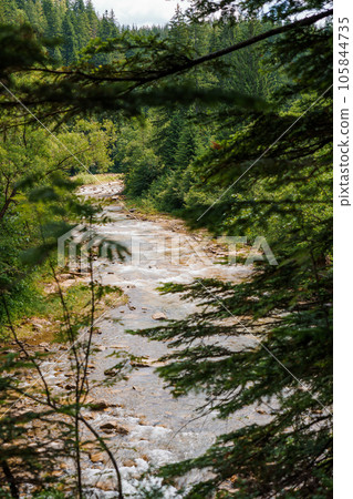 Mountain river in the forest among the rocks Mountain river in the forest among the rocks 105844735