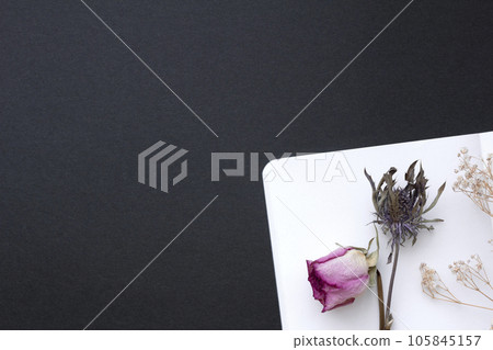 Decoration of dried flowers of pink, gypsophila and eryngium on a black background Decoration of dried flowers of pink, gypsophila and eryngium on a black background 105845157