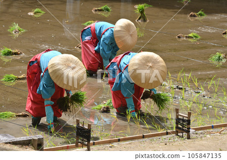 伏見稻荷插秧節 105847135