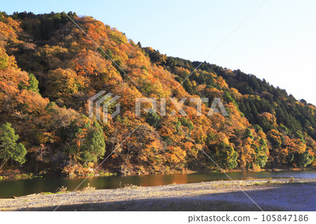 falling rocks in autumn falling rocks in autumn 105847186