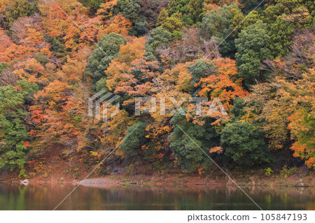 falling rocks in autumn falling rocks in autumn 105847193