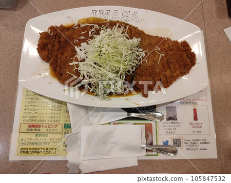 Curry House 11 稻草今佐炸肉排咖哩限量版 東京新宿區 105847532