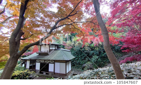 被秋葉包圍的寺廟 105847607