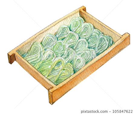 Watercolor illustration Hegisoba Niigata gourmet 105847622