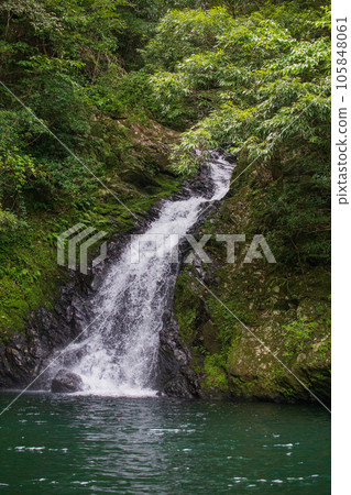 Materiya Waterfall that flows down through trees and moss Materiya Waterfall that flows down through trees and moss 105848061