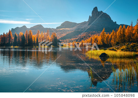 Beautiful alpine lake and colorful larch forest, lake Federa, Dolomites 105848098