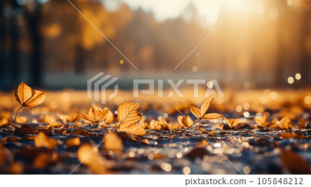 A photo of a beautiful autumn forest landscape with autumn yellow leaves, postcard A photo of a beautiful autumn forest landscape with autumn yellow leaves, postcard 105848212