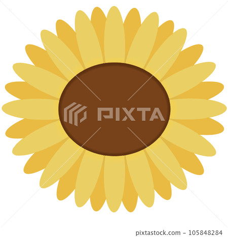 Sunflower  105848284