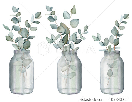 Eucalyptus, bouquet in a vase. Hand drawn clipart isolated on white background Watercolor floral illustration set green leaf branches collection, for wedding stationary, greetings, wallpapers, fashion Eucalyptus, bouquet in a vase. Hand drawn clipart isolated on white background Watercolor floral illustration set green leaf branches collection, for wedding stationary, greetings, wallpapers, fashion 105848821