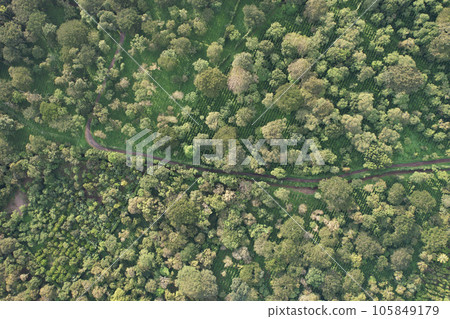 Countryside farm road 105849179