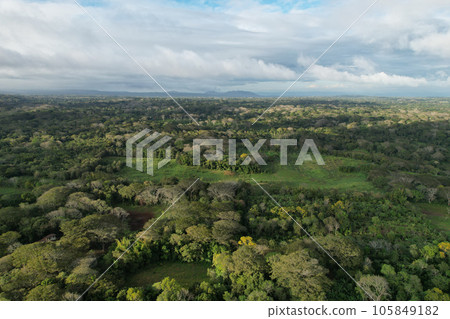 Big farm meadow with new trees 105849182