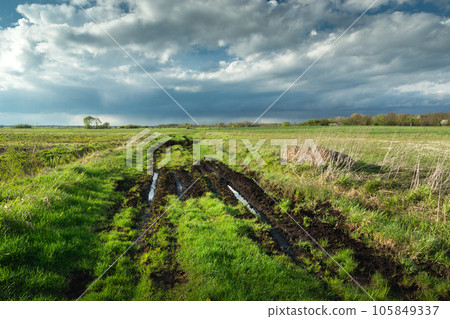 May landscape with a view of a dirt road and green meadows with a cloudy sky, Eastern Poland May landscape with a view of a dirt road and green meadows with a cloudy sky, Eastern Poland 105849337