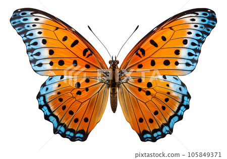 Blue orange butterfly with spread wings cut out on a white background. Generative AI illustration 105849371