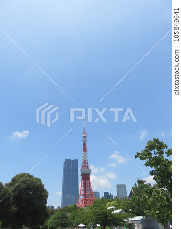 Tower seen from Shiba Park Tower seen from Shiba Park 105849641