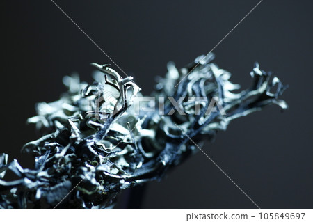 Ayurvedic leaves texture closeup 105849697