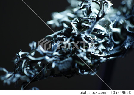 Ayurvedic leaves texture closeup 105849698