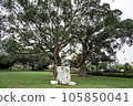 Cherry blossoms at Yoichi Hatta Memorial Hall in Tainan 105850041