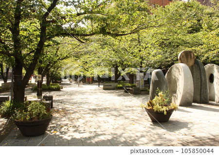 Chuo Ward Sakuragawa Park around Hatchobori Station 105850044