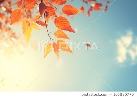 Autumn leaves drifting down against the blue sky. High quality photo 105850770