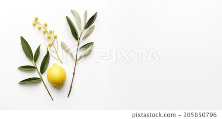 sukkot symbols: palm tree and myrtle with lemon. High quality photo 105850796