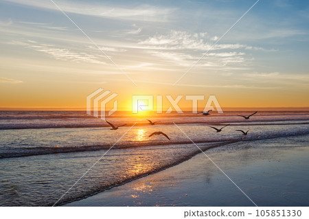 Seagulls fly on beach sund at atlantic ocean sunset with surging waves at Fonte da Telha beach, Costa da Caparica, Portugal 105851330