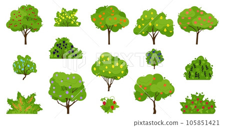 Harvest fruits tree, fruit trees growing and bush with berries. Organic fresh gardening products, apricots and peach, apples and plums, decent vector set Harvest fruits tree, fruit trees growing and bush with berries. Organic fresh gardening products, apricots and peach, apples and plums, decent vector set 105851421