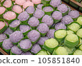 Kanom Chan sweet cake Thai layer dessert. 105851840