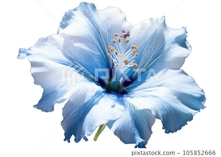 Blue flower, white background. Generative AI 105852666