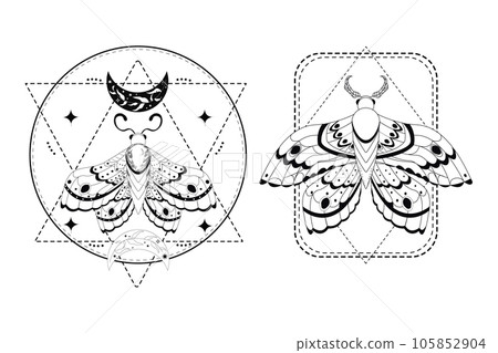 Magic mystic moth in doodle style, line art isolated, boho celestial esoteric symbol, tatoo or print 105852904