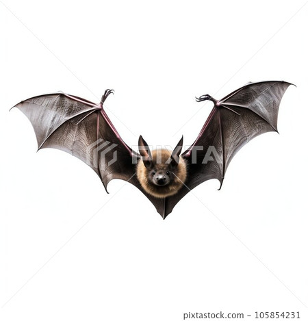 Flying Bat Isolated on White Background. Generative ai 105854231