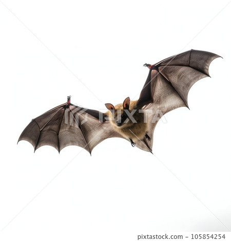 Flying Bat Isolated on White Background. Generative ai 105854254